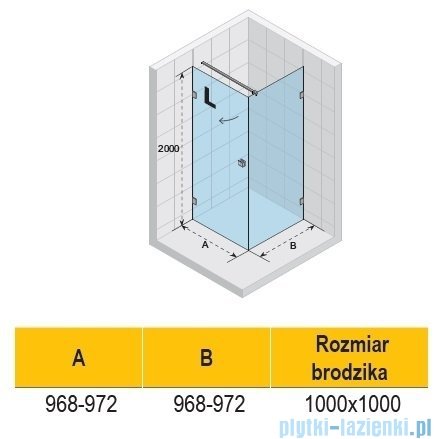 Riho Scandic NXT X201 kabina prysznicowa lewa 100x100cm chrom G001047120