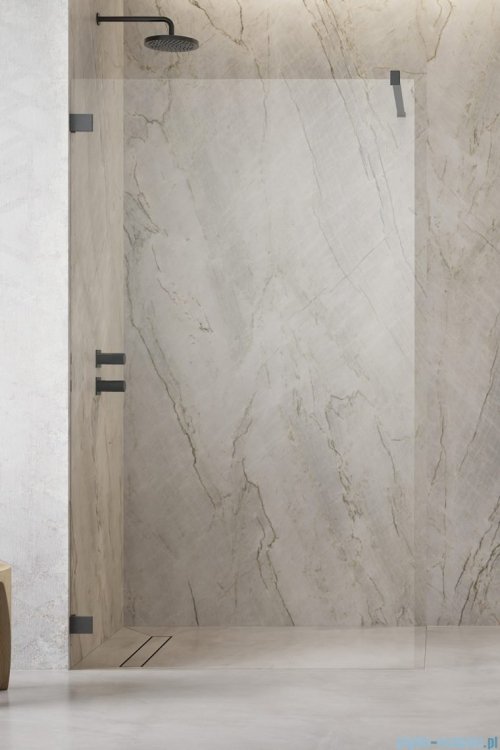 Radaway Essenza Pro Brushed GunMetal 120x200 kabina Walk-in szczotkowany grafit 10103120-92-01