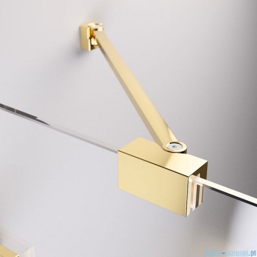 Radaway Essenza Pro Gold Kdj+S kabina 100x120x100cm lewa złoty połysk/szkło przejrzyste 10097312-09-01L/10098100-01-01/10098100-01-01
