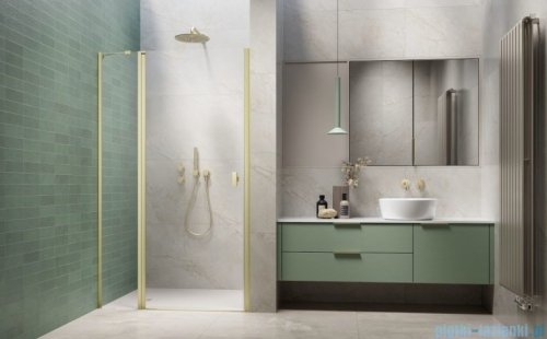 Radaway Nes Brushed Light Gold Dwj II Drzwi wnękowe 120cm lewe szczotkowane jasne złoto szkło przejrzyste 10036120-98-01L