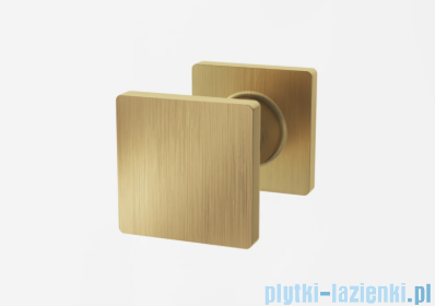 Ronal ANNEA AN13 Drzwi jednoczęściowe ze ścianką stałą w linii 80x200cm lewe złoto szczotkowane AN13G08001307