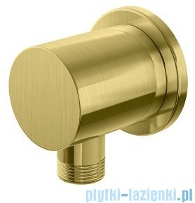Kohlman Experience Brushed Gold przyłącze kątowe wody złoto szczotkowane QW166EGDB