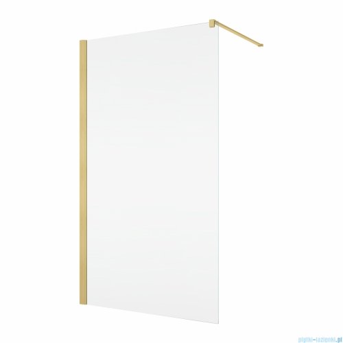 Ronal ANNEA ANT1 Ścianka wolnostojąca Walk-in 90x200 cm z profilem przyściennym złoto szczotkowane ANT109001307