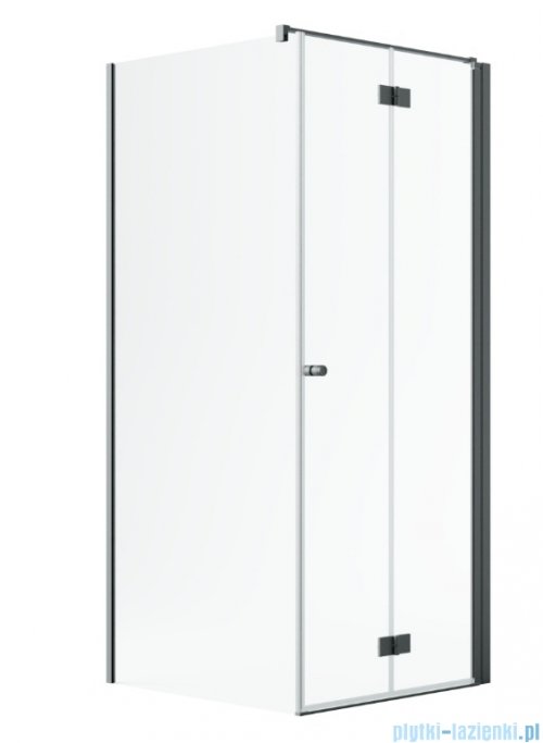 Radaway Nes Kdj B Brushed GunMetal kabina 80x80cm prawa szczotkowany grafit 10025080-92-01R/10039080-01-01