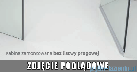 Radaway Nes Brushed Nickel DWSB drzwi wnękowe 120cm W2 lewe szczotkowany nikiel szkło przejrzyste 10044850-91-01L/10045350-01-01