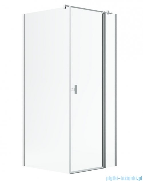 Radaway Nes Kdj II Brushed Nickel kabina 120x100cm prawa szczotkowany nikiel 10032120-91-01R/10039100-01-01
