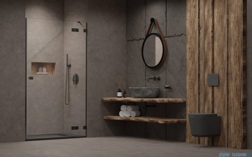Radaway Essenza Pro Brushed GunMetal Dwj drzwi wnękowe 120cm prawe szczotkowany grafit 10099120-92-01R