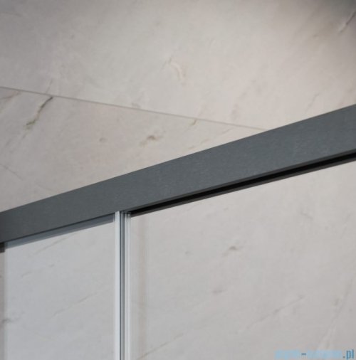 Radaway Idea 6 DWD Brushed GunMetal drzwi wnękowe 180cm szczotkowany grafit 387128-92-01