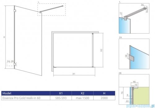 Radaway Essenza Pro Gold 60x200 kabina Walk-in złoty połysk/szkło przejrzyste 10103060-09-01
