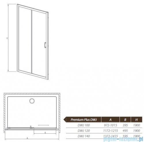Radaway Premium Plus DWJ Drzwi wnękowe 100 szkło przejrzyste 33303-01-01N