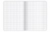 Zeszyt A5 80k kratka margines BOTANY 400181619 TOP 2000