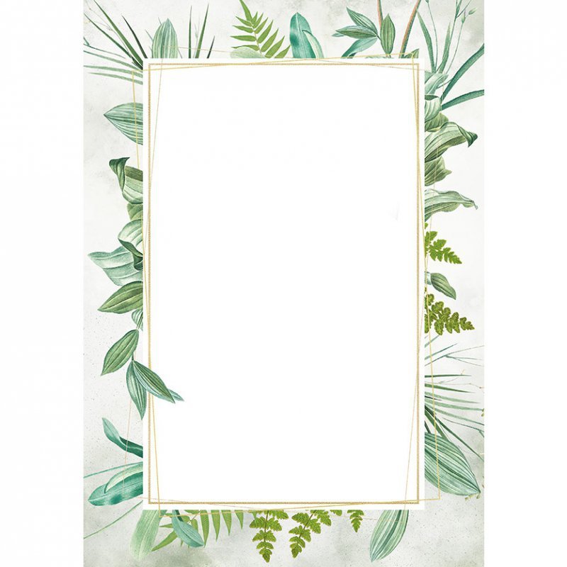 Dyplom A4 BOTANIC 170g (25ark) 219617 GALERIA PAPIERU