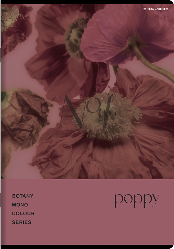 Zeszyt A5 60k kratka margines BOTANY 400182432 TOP 2000