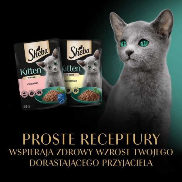 SHEBA Nature&#039;s Collection Drobiowe smaki w galarecie- Junior Kurczak/Łosoś - Mokra karma dla kota 40x85g