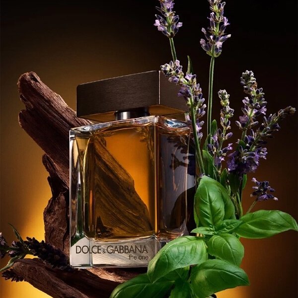 Dolce &amp; Gabbana The One pour Homme Eau de Toilette