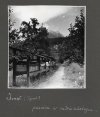 [OGRODNICTWO na terenach Tyrolu - fotografie sytuacyjne i widokowe].
