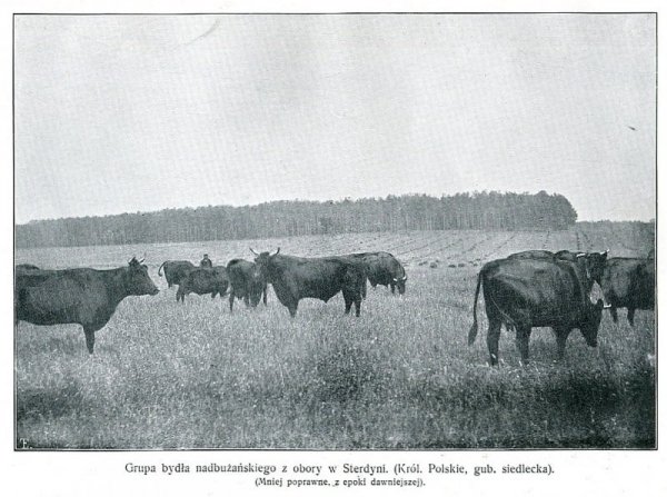Materyały do rolniczej fizyografii Galicyi zebrane przez Sekcyę Rolniczą Komisyi Fizyograficznej. Osobne odbicie z t. 37 Sprawozdań Komisyi Fizyograficznej