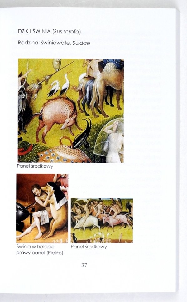 Ziółkowska Julia - Symbolika zwierząt w obrazie "Ogród rozkoszy ziemskich" Hieronymusa Boscha