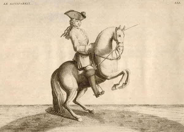 [KONIE] EISENBERG - L'Art de Monter a Cheval, ou Description du Manege Moderne, dans sa Perfection [...]. Ecrit et Dessine par ..., et Grave par B. Picart. Amsterdam et Leipzig 1759. Chez Arkstee et Merkus.  - Le Sanspareil. Miedzioryt czarno-bialy form. 