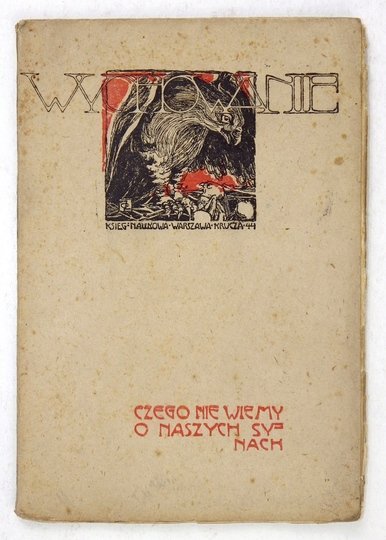 Moszczeńska J. - Czego nie wiemy o naszych synach. Fakty i cyfry dla użytku rodziców.