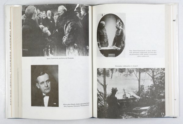 Skaradziński Bohdan - Polskie lata 1919-1920. T. 1-2