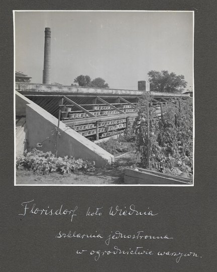 [OGRODNICTWO na terenach Tyrolu - fotografie sytuacyjne i widokowe].