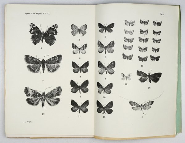 SPRAWOZDANIE Komisji Fizjograficznej obejmujące pogląd na czynności [...] oraz materyały do fizyografji kraju. Kraków. PAU. 8. brosz. Dublety bibliot. (skasowane piecz.).T. 57. 1923