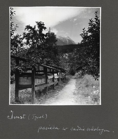 [OGRODNICTWO na terenach Tyrolu - fotografie sytuacyjne i widokowe].