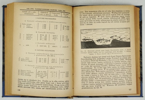 MEISNER W[alerian] - Ichtiologia stosowana. Wyd. II. Przeł. i uzup. B. Dixon