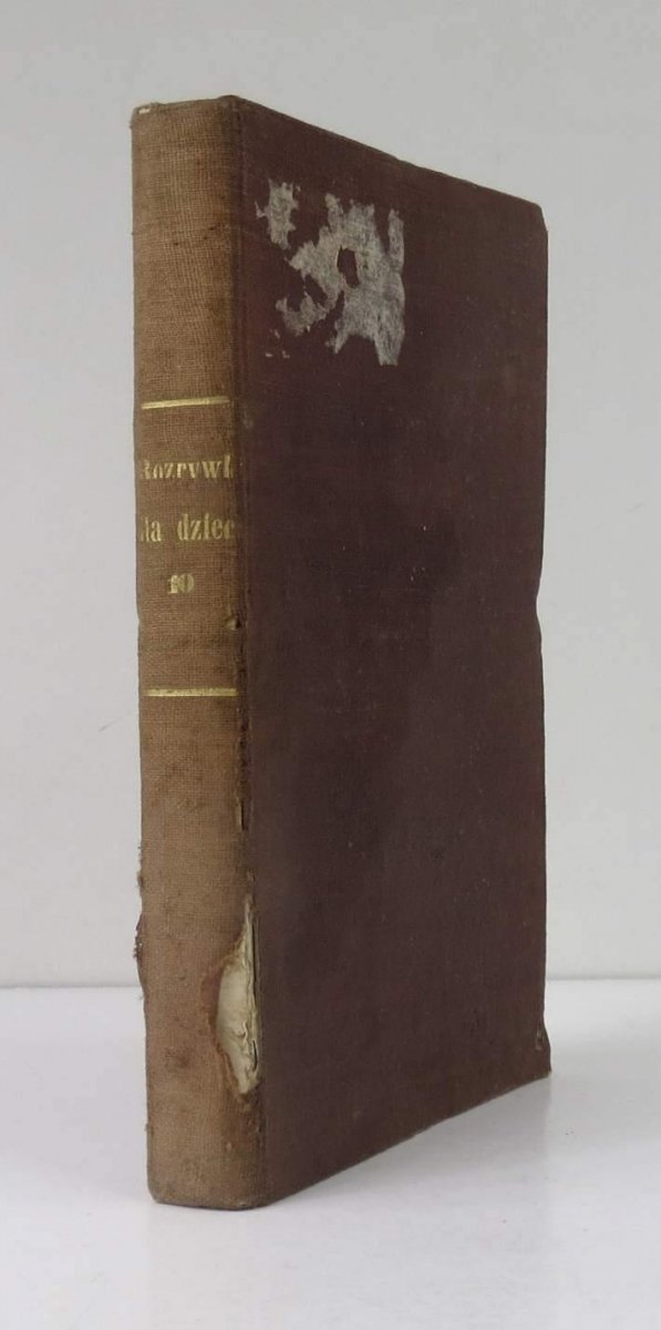 Rozrywki dla Dzieci. Wydawane przez autorkę Pamiątki po dobrej matce [Klementynę z Tańskich Hoffmannową] R. 5, t. 10: 1 VII-1 XII 1828
