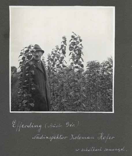 [OGRODNICTWO na terenach Tyrolu - fotografie sytuacyjne i widokowe].
