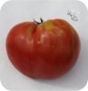 Pomidor szczepiony Gormandia bawole serce