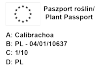 Calita (Million bells) różowa 6 sztuk