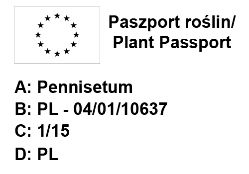 Rozplenica Moudry 6 sztuk