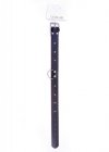 Fetish B - Series Collar with studs 3 cm Red Line