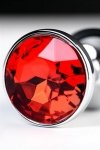 Silver anal plug with  red gem