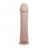 BAILE - The Big Penis
