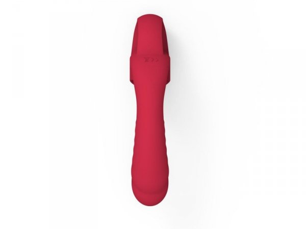 Wibrator - Rechargeable Licking Vibrator USB 10 Functions