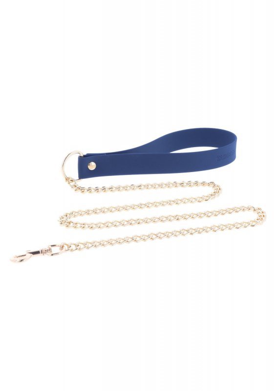 Silicone Collar and Leash Blue