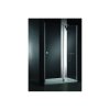 Drzwi prysznicowe SINGO 120 cm