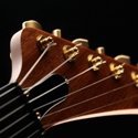 EXPLORER BS GUITARS