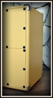 Obudowa Kolumny 1x12&quot;  ELEGANCE CREAM OXBLOOD 
