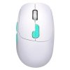 DEFENDER MYSZ NITTA MM-307 RF+BT OPTIC 1600dpi 6P BIAŁA