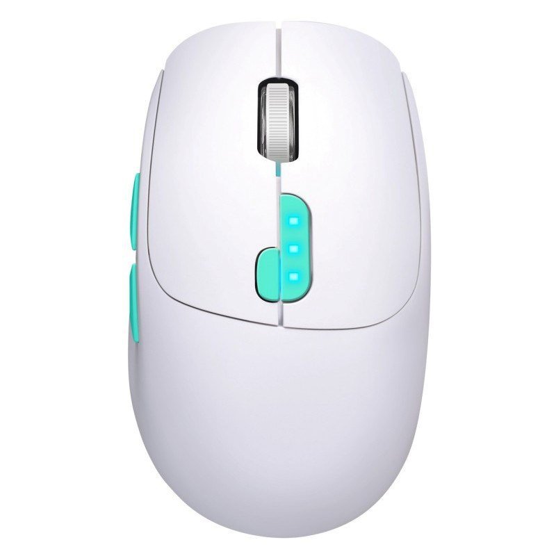 DEFENDER MYSZ NITTA MM-307 RF+BT OPTIC 1600dpi 6P BIAŁA
