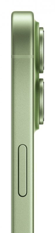 Apple iPhone 17 16 cm (6.3") Dual SIM iOS 26 5G USB Type-C 512 GB Szałwia