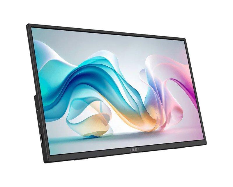 MSI Monitor 15.6 cala PRO MP165 E6 LED/FHD/Flat/60Hz/czarny