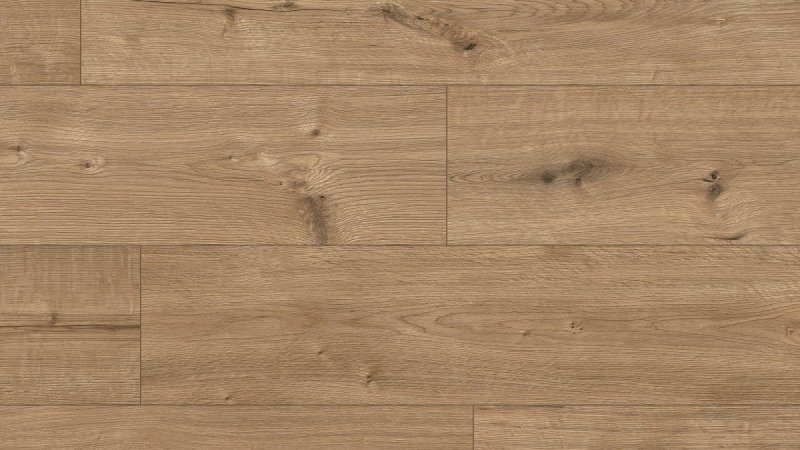 ARTEO Dąb Adler Oak 8 XL 55085 AC5 8mm wodoodporne