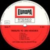Jeff Cooper And The Stoned Wings - Tribute To Jimi Hendrix (LP)