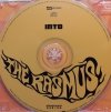 The Rasmus - Into (CD)