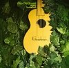 Alex De Grassi - Turning: Turning Back (LP)
